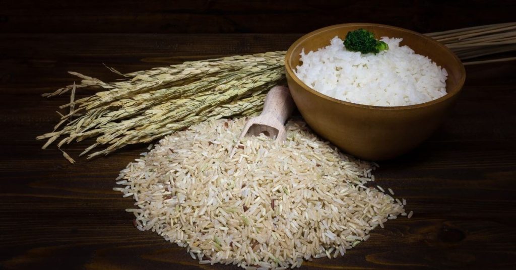 things you nrrd to know about rice cooking